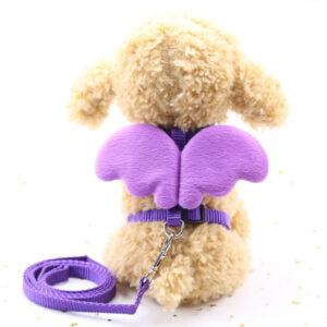 Pet Collars, Leashes & Harnesses